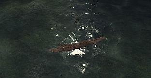 Eagle Hunting Journey