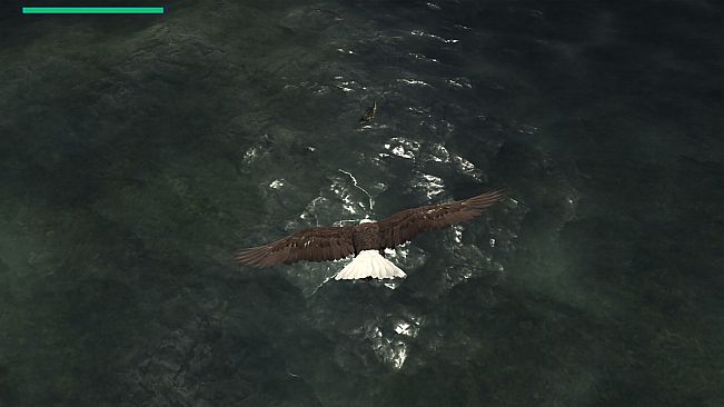 Eagle Hunting Journey