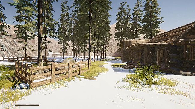 Alaska Survival