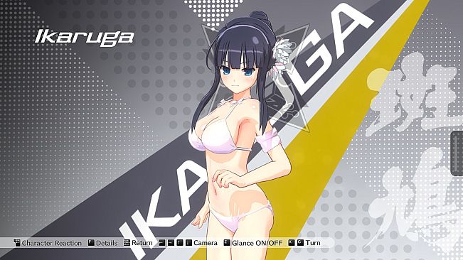 Kandagawa Jet Girls - SENRAN KAGURA Character Pass