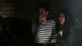 The FMV Collection 5