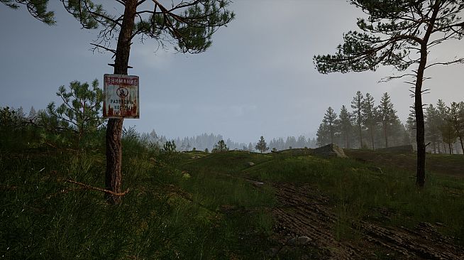 TUNGUSKA: A Call in the Woods