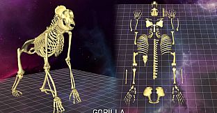 World of Guns VR: 5 Skeletons Pack