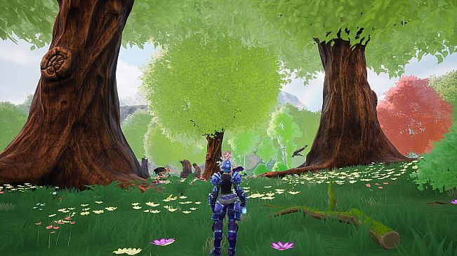 Blademistress Chronicles