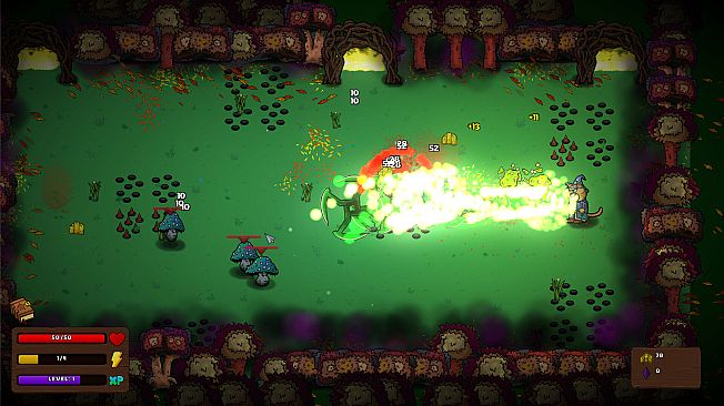 Whiskers and Wizardry