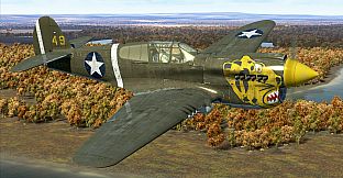 IL-2 Sturmovik: P-40E-1 Collector Plane