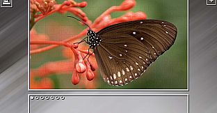 Super Jigsaw Puzzle: Generations - Random Animals Puzzles