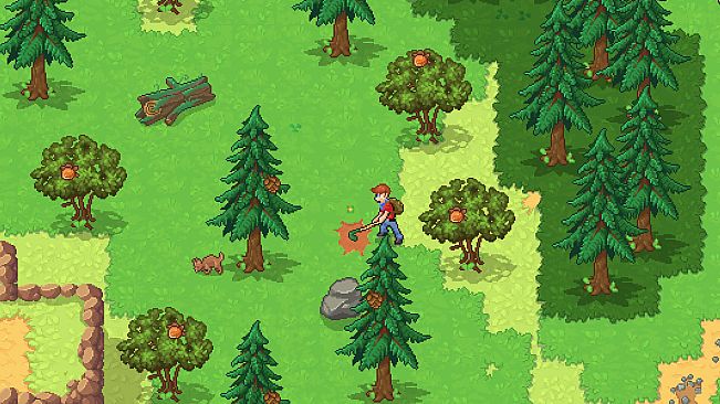 Pinecone Grove