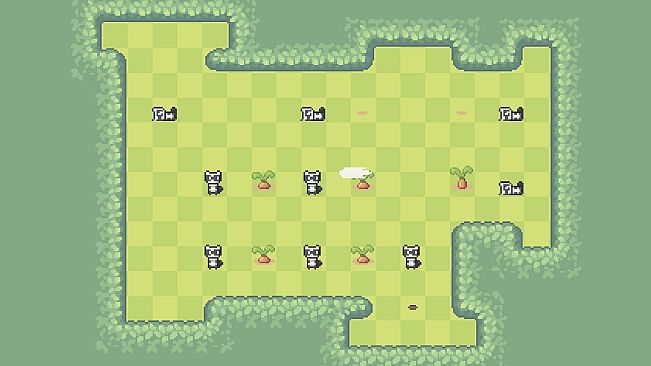 Hoppin: Into the Woods