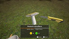 Mushroom Hunter World