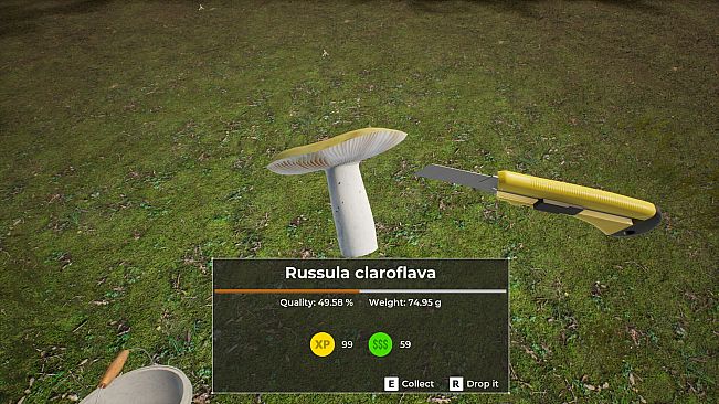 Mushroom Hunter World