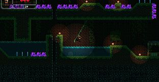 Ducki's Descent