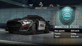 The Police Interceptors Simulator: War Against Racers