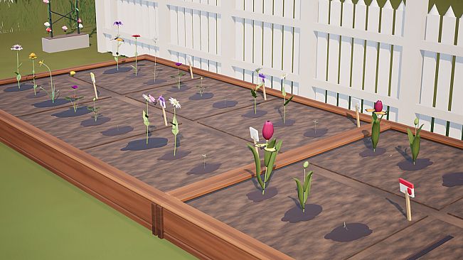 Panda Flora