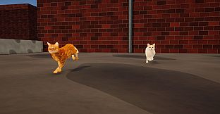 CatMischief
