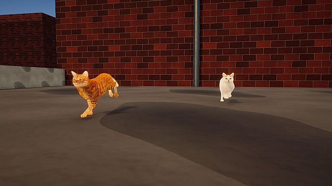 CatMischief