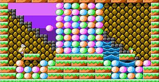 The Year of the Carrot