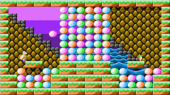 The Year of the Carrot