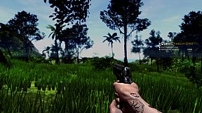 Survival Is Not Enough