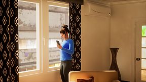 Birdcage: A Tale of Sorrow