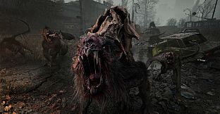 METRO 2039 Deluxe Edition Upgrade