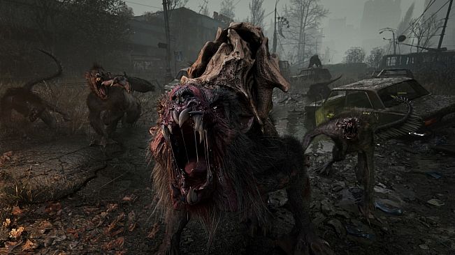 METRO 2039 Deluxe Edition Upgrade