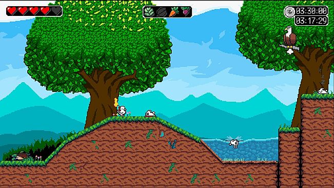 The Duck Amikaze Strikes Back