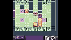 Toni Island Adventure