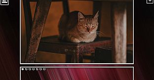 Super Jigsaw Puzzle: Generations - Cats Puzzles