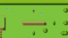 Card Collector And Card Girls