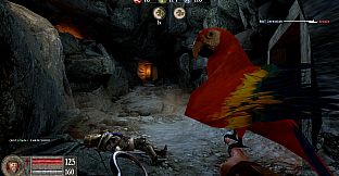 Pirates Vikings & Knights II