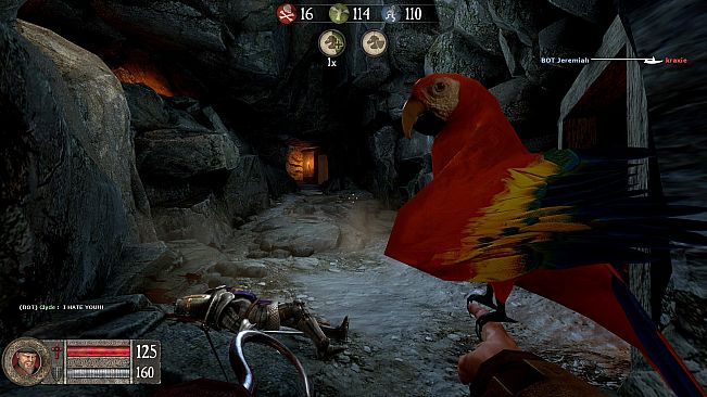 Pirates Vikings & Knights II