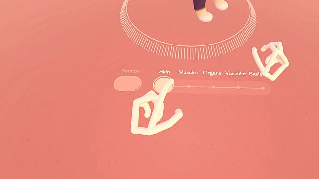 Ultraleap Gemini - Cat Explorer