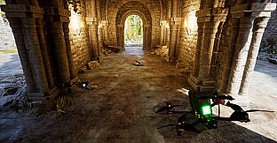 Virazh: FPV Drone Racing