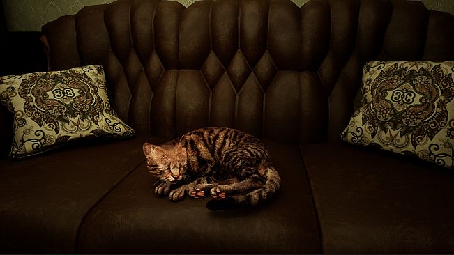 Meowmories -meowmare adventure-