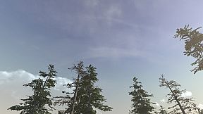 Sierra Madre: The Wild West