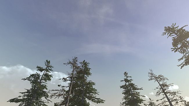 Sierra Madre: The Wild West