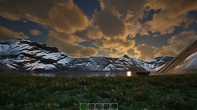 Mushroom Selection 2