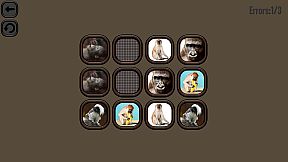 Animals Memory: Monkeys