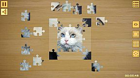 Jigsaw Puzzles