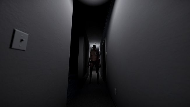 Visitant