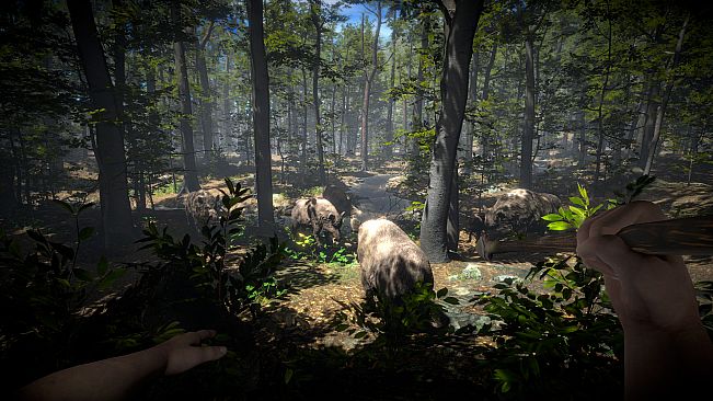 Primal Man Simulator