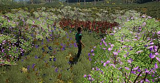 The Fox, The Forest & The Darkness