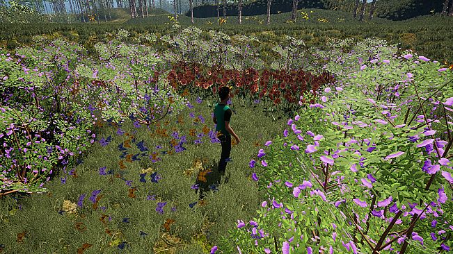 The Fox, The Forest & The Darkness