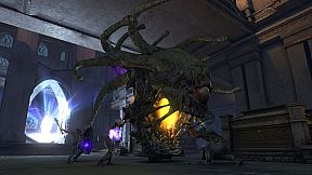 Neverwinter: Undermountain Preparedness Bundle