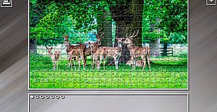 Super Jigsaw Puzzle: Generations - Random 8