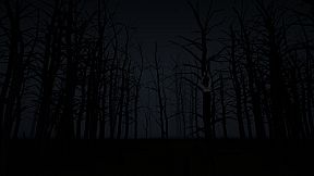 With in the Obscurity