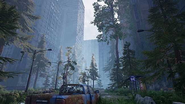 Alone Among the Ruins