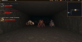 Card&Dungeon