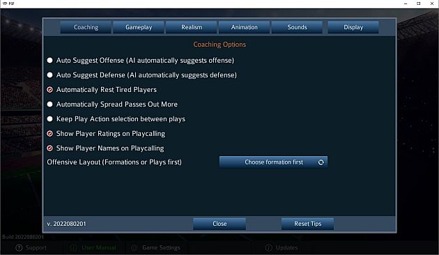 Pro Strategy Football 2022